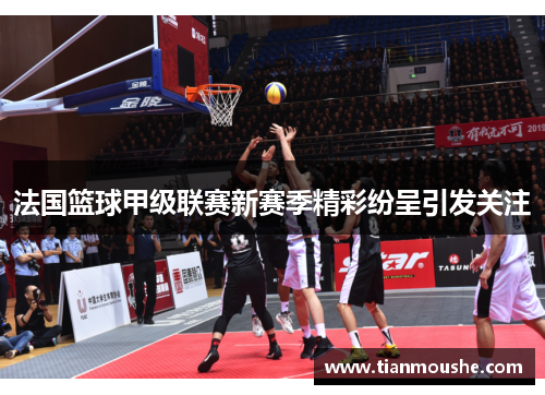 法国篮球甲级联赛新赛季精彩纷呈引发关注
