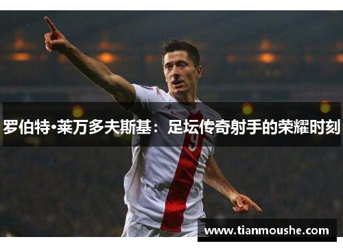 罗伯特·莱万多夫斯基：足坛传奇射手的荣耀时刻