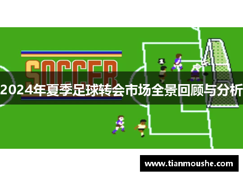 2024年夏季足球转会市场全景回顾与分析