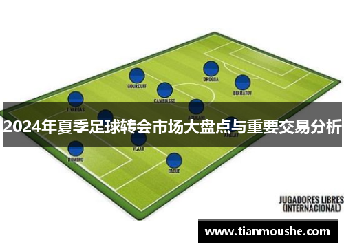 2024年夏季足球转会市场大盘点与重要交易分析