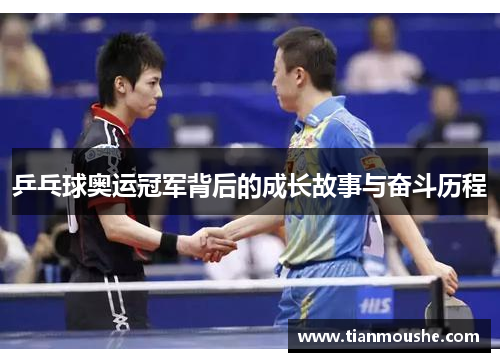 乒乓球奥运冠军背后的成长故事与奋斗历程