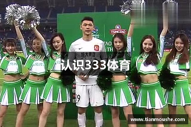 认识333体育